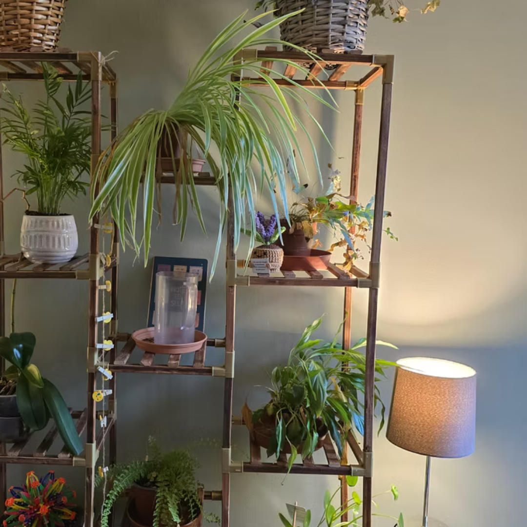 Untitled design (17)